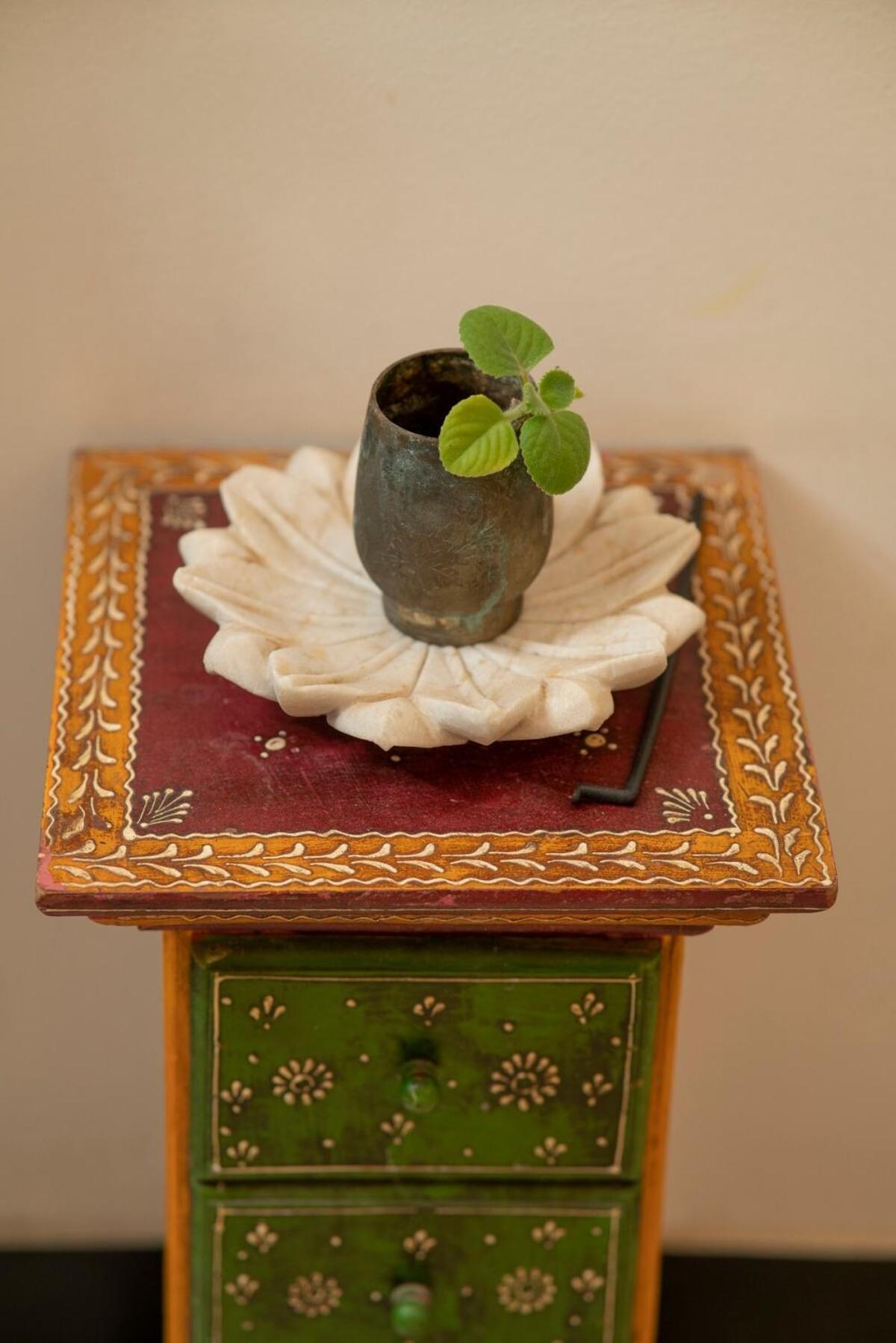 Santosh Villa - The House Of Antiques And Art 烏代浦 外观 照片