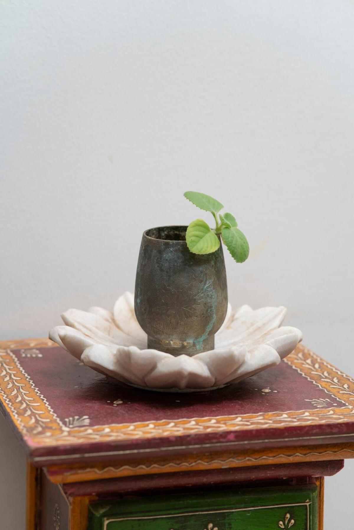 Santosh Villa - The House Of Antiques And Art 烏代浦 外观 照片
